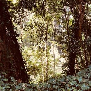 Meet Your Posher, Luisa